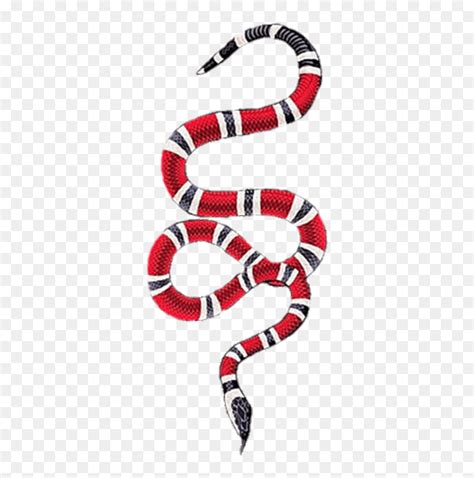 free download gucci snake|Gucci snake Vectors & Illustrations for Free Download .